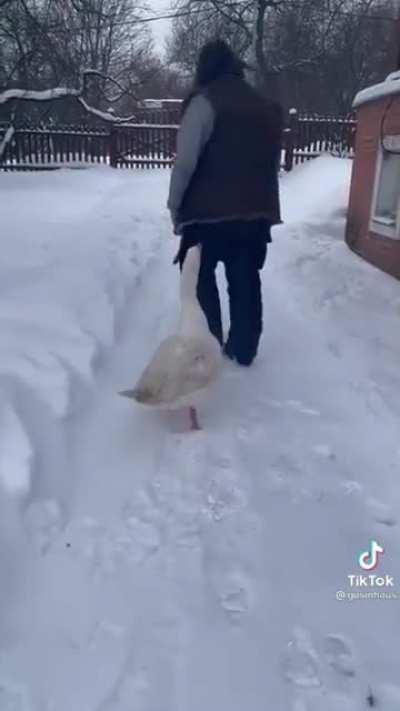 So good to see you grandma!