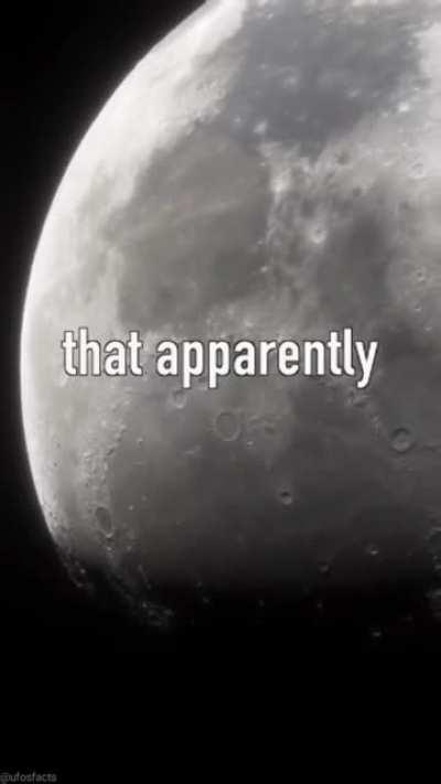 I would love to be this out of touch with reality