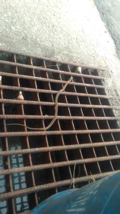 I thought you might be interested in this old video of mine