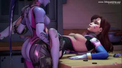 a night with Widowmaker and Dva ( stalker)