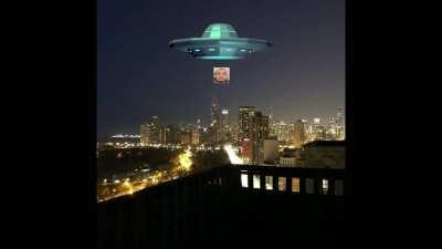 Day in the life of a lemon