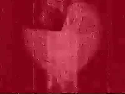 peter look out!!!!!!!! NOOOOOOO 😭😭😭