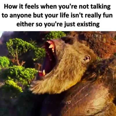 vibemaxxing shigma style