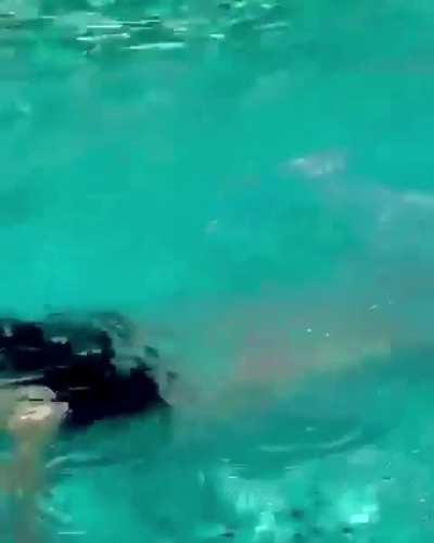 ‘Diving Into August’ | IG | August 2024