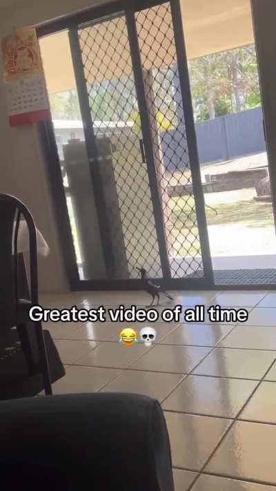 Okay, I understand, I understand.