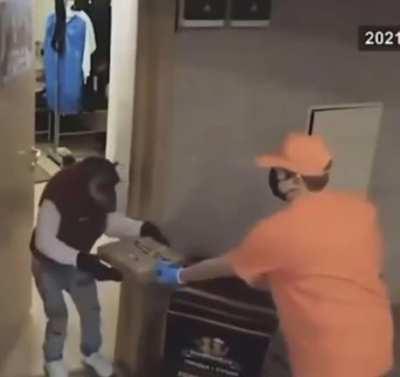 Planet of The Apes is Starting to Look Like a Terrifyingly Real Scenario!