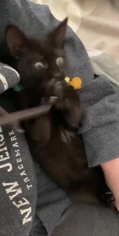 hoodie string murder mittens