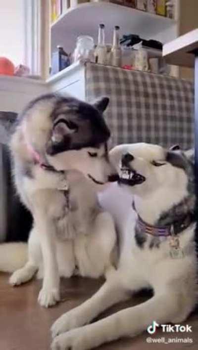 It's not normal 😂