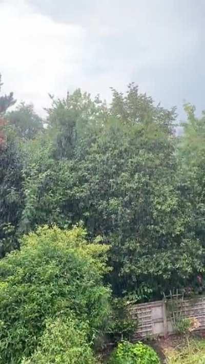 Summer showers ☔️ South West England