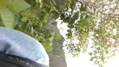 Train man kicks cameraman to avoid banging his head