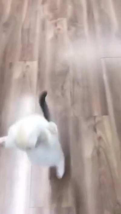 Everyone should be afraid of me.