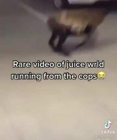 We cant even lie these for real 😭💯👍🏻😂