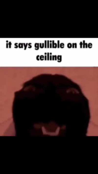 all my memes are atleast 10 days old