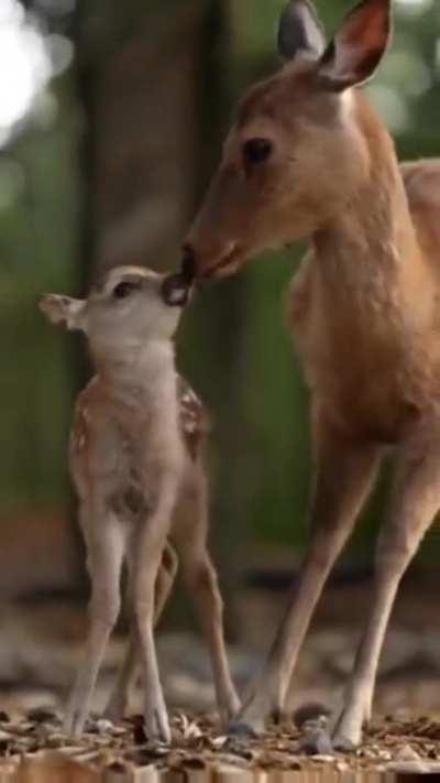 Welcome to brave new world.