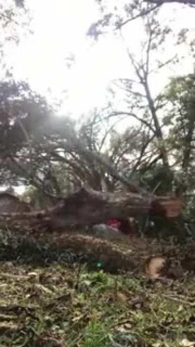 The nature will take your revenge in way or another.