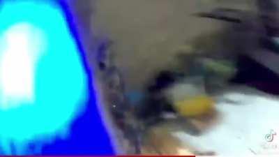 а что? а всё.