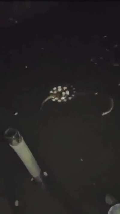 Can someone name them?