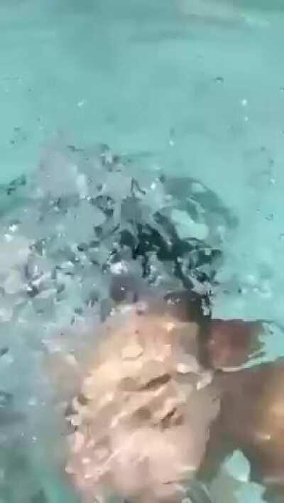 Titillating ✨😍✨