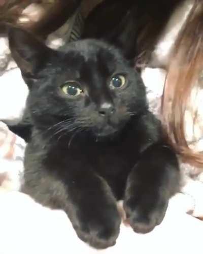 Я сказал нет!