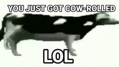 Bro this cow got the moves tho 😳