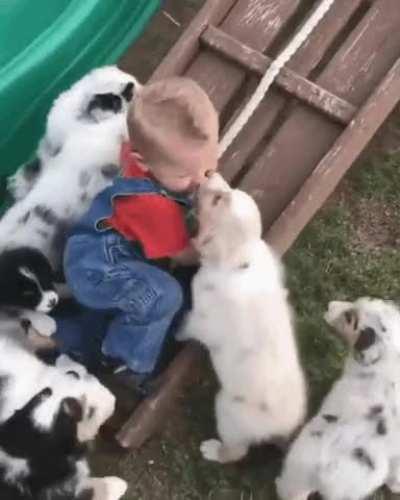 Will he survive from this attack...