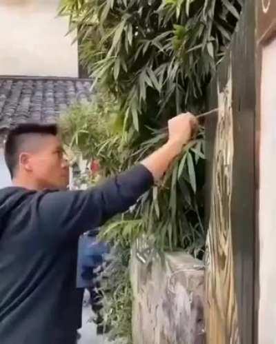 Drawing a tiger on wooden gate