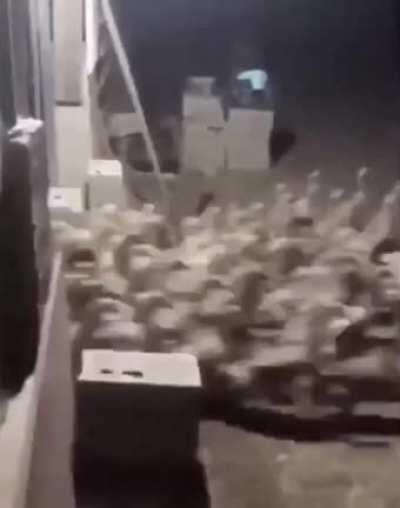 ⚠️ Here they come...