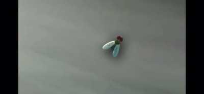 Breaking Bad in less then 3 minutes