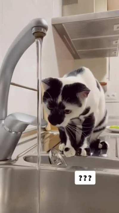 “How did you find out about this”