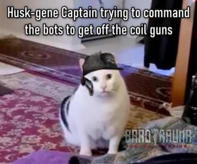 Another Dugongposting Discord meme | ofc I knew of this side effect before getting these genes, you dare to question the captain?!