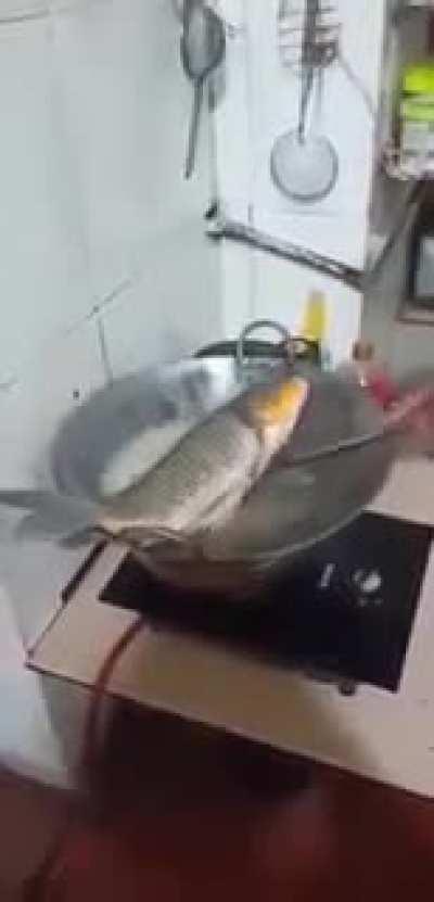 You aint going to eat me bitch