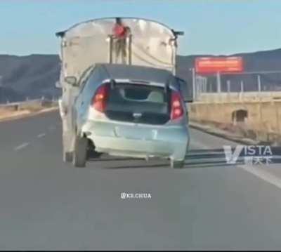 I LOVE SEEING AN EXCITED PET LIKE THIS DOG HERE.