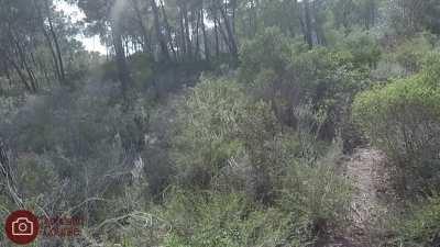 Sucking his cock in public is one of my favourite hobbies [GIF]