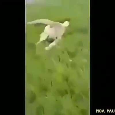 Pobre muquinha😞😭