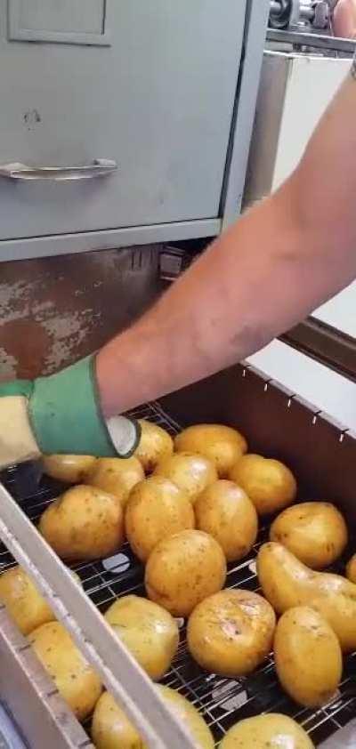 Backyard BBQ Maestro