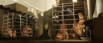 Two bitches in training (zmsfm)