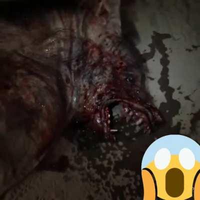 سلام اکس ارمی❤ نظرتون چیه😱