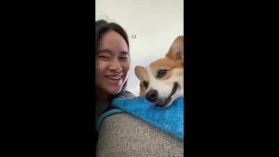 Гав-гав-гав