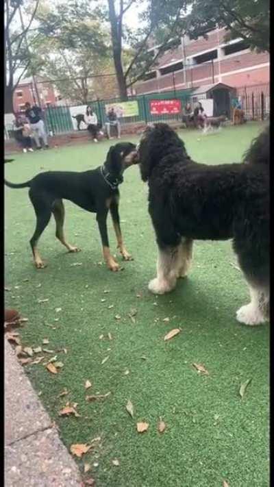 Игра кальмара