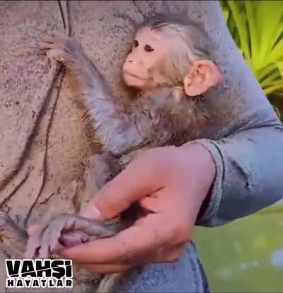 Thank you for your concern my friend.