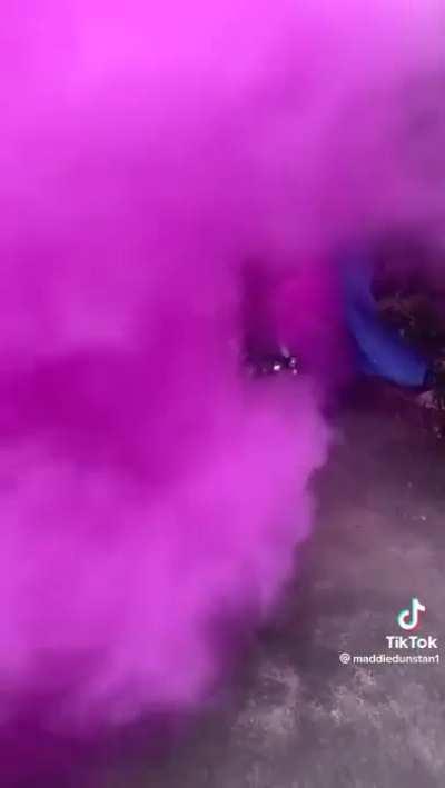 gender reveal burnout