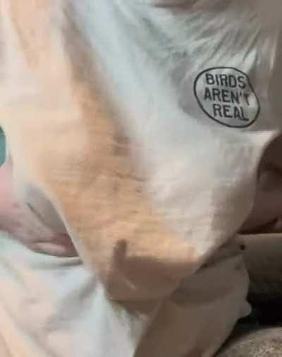 Are birds real? Think about it while you stare at my tits 🖤