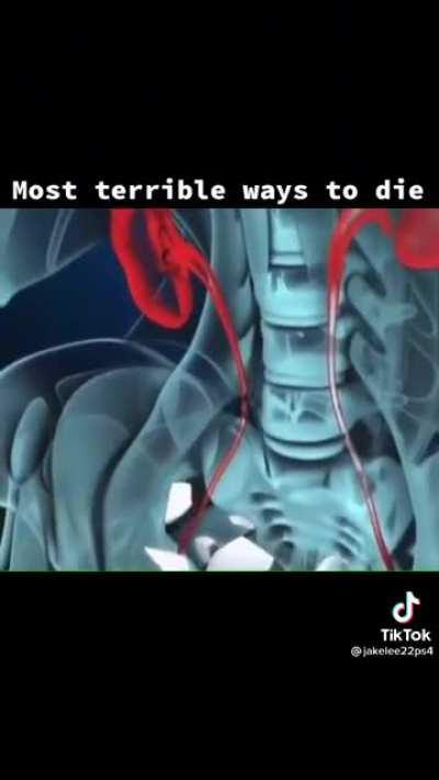 How it feels to get hit in the balls (gore?)