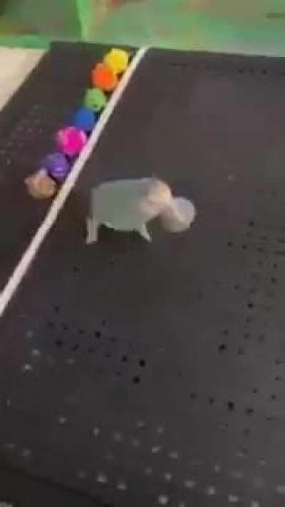 Perfectly done without any mistake.