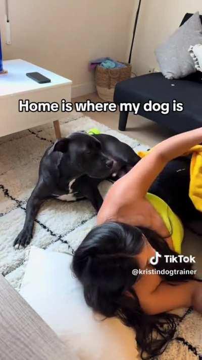 @kristindogtraine First they steal your heart, then your bed…