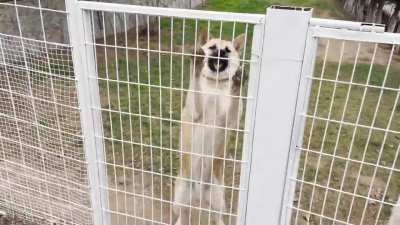 ÇİFTLİK EVİ SADECE CİDDİ ALICILAR TÜRKİYEDE TEK (DOSTA GİDER)