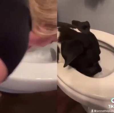 What is this and why does it exist?