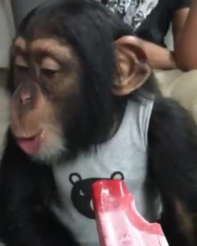 Mono helado mono helado 😳