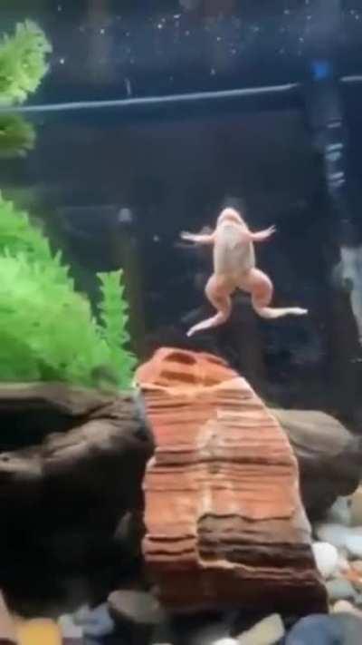 My last braincell while i hear Touch