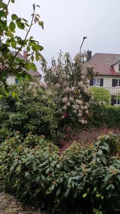 Here, have a nice rainy Thunderstorm over Switzerland. Happened just now.